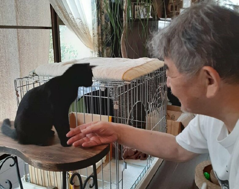 父親とルルちゃんの平和な日常