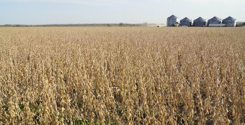 アメリカの大豆畑（カンザス州）