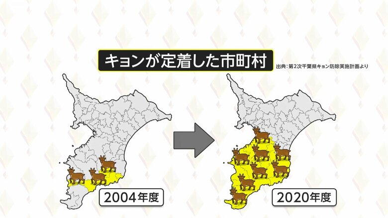 生息域は拡大し、千葉県の半分ほどにまで広がる