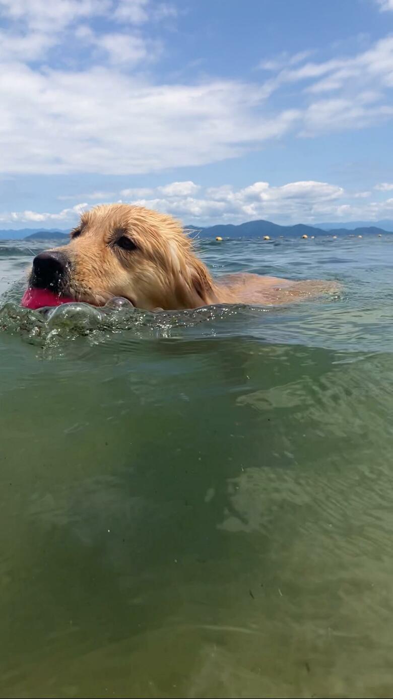 提供：エマさん