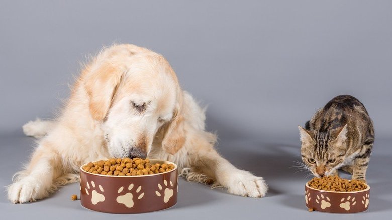 あの猫に贈りたい!?「ペット用お歳暮」が登場…今年もお世話になりました。