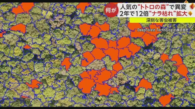 ドローンとAIという最新技術を駆使し、効率よく被害状況を把握し、対策する