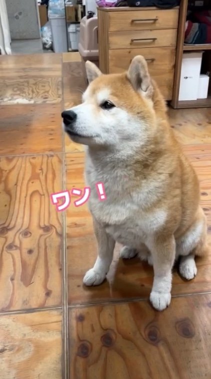 提供：エイトデザイン