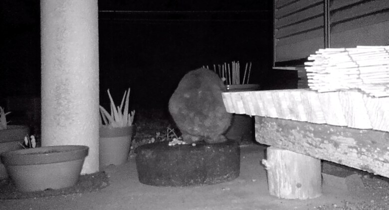 画像提供 森と海の藝術楽校