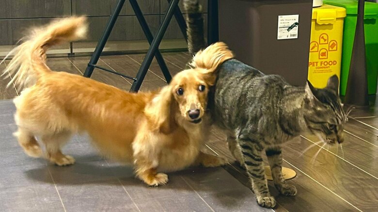 表情が面白いボンくん