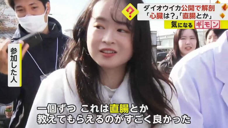 感想を語るダイオウイカの解剖を見学した人