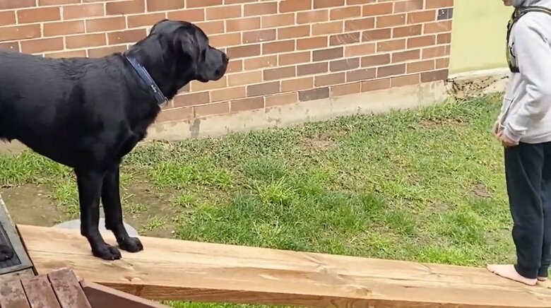 長男の様子を見る「どういうこと？」