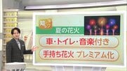 花火大会は“有料席の時代”へ　隅田川花火大会も有料席完売　約8割の大会で導入…50万円のプレミアム席も　手持ち花火も“プレミアム”化