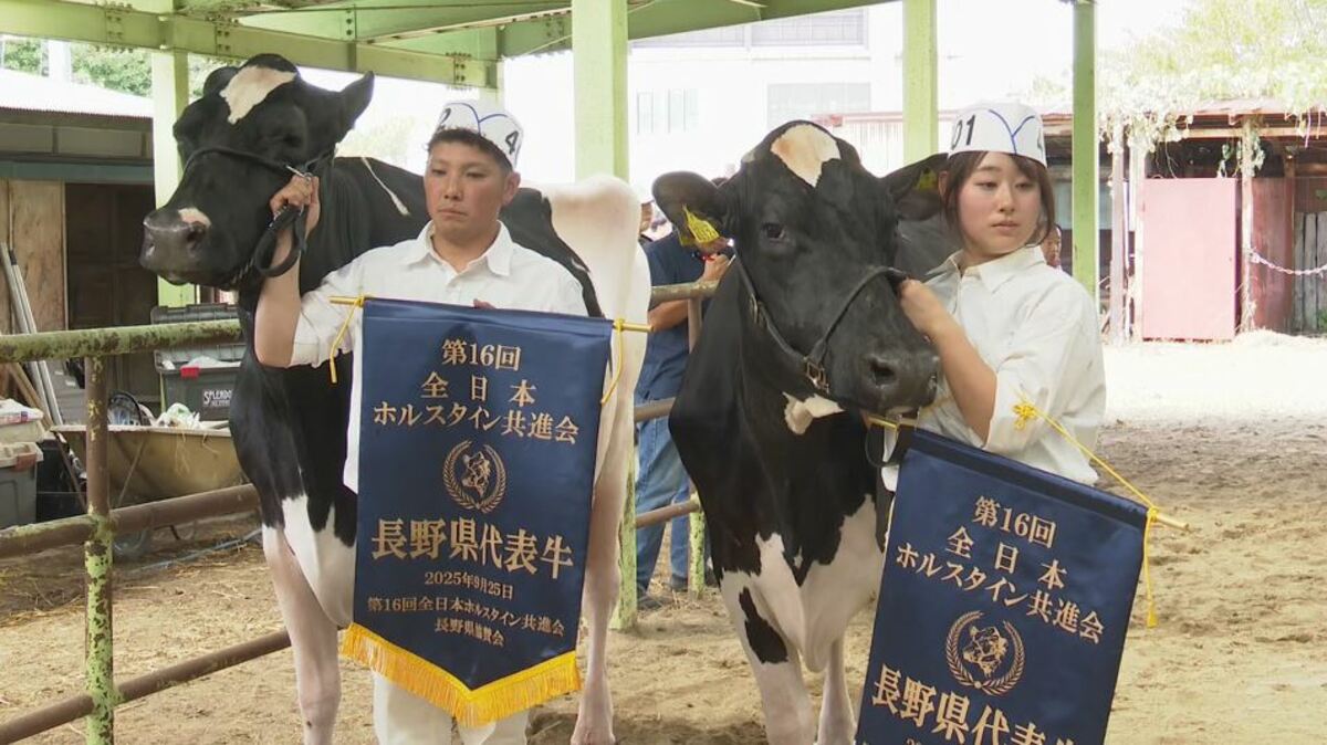 夢の舞台に出場できる」自慢の牛！ホルスタインの長野県代表6頭決まる