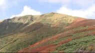紅葉でにぎわう栗駒山で体長１．５ｍのクマ目撃　臨時駐車場から５８０ｍ先の県道　注意呼びかけ〈宮城〉