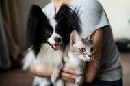 災害時にペットはどう守る?「同行避難」のすすめ…まずは訓練に参加を 飼い主は2週間分のフードと水などの用意も