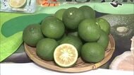 大分県の特産“露地カボス”旬入り　小ぶりも果汁は十分「まろやかな酸味とさわやかな香りを味わって」
