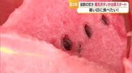 「どんどん食べて暑さ乗り切って」尾花沢すいか出荷始まる　糖度高く食味・シャリ感も最高の出来　山形