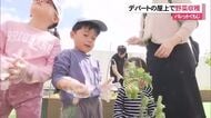 那覇市のデパートの屋上菜園で収穫体験　子ども達が自然の恵みに感謝
