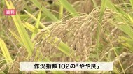 作況指数102の「やや良」 宮城県内のコメの作柄概況