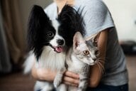 災害時にペットはどう守る？「同行避難」のすすめ…まずは訓練に参加を　飼い主は2週間分のフードと水などの用意も