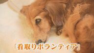 飼い犬の平均寿命14.9歳 幸せな最期を過ごす『老犬ホーム』　飼い主と犬の“老老介護”問題 「預けた後は泣きながら帰った」【福岡発】