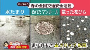 <お空にタッチ>雨・風強い日は車の運転に注意!【新潟】