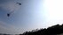 「松が空を飛んでた」宮城県で撮影さ…
