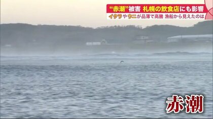 イクラもウニも高騰続く…回転寿司「1皿に1貫」と苦肉の策も　影響広がる赤潮被害【北海道発】
