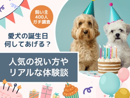 【飼い主400人に調査】毎年祝う派が約7割！笑って泣ける、愛犬の誕生日エピソードが満載