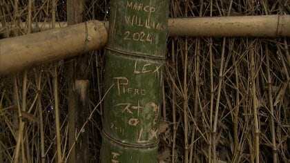 京都・嵐山の「竹林の小径」に落書き多数…ハートマークや名前が彫られる　300本以上の竹に傷か　専門家は生育への影響に懸念