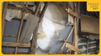 「雪は恵みと思っていたが…」新潟・魚沼市で農作業所が雪の重みで破損…思い出育んできた場所解体で農家の目に涙