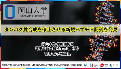 【岡山大学】タンパク質合成を停止させる新規ペプチド配列を発見