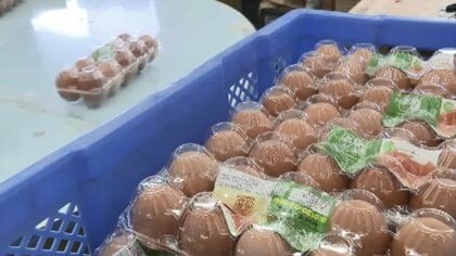 「10パーセントくらいは…」原油高で卵も値上げへ　包装資材や輸送のコストが上昇　鳥インフル拡大でダブルパンチ　店頭で歴史的高騰に　福岡