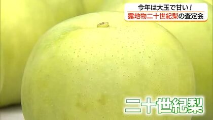 猛暑乗り越え大玉で甘さ充分の出来に！鳥取特産二十世紀梨「酸味と甘みのバランスで美味しく食べて」