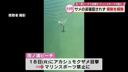 海水浴場にアカシュモクザメ　その後３日間姿確認されず　市が「マリンスポーツ禁止」解除　大分市