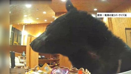 【恐怖】日光の温泉宿にクマ侵入 宿泊客とあわや遭遇…音に驚く？窓から逃げる　ソファでくつろぐような姿も…
