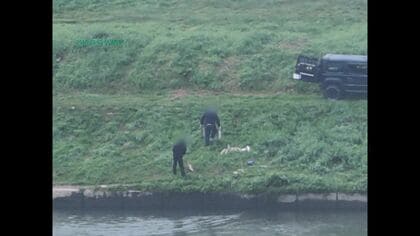 【2時間でサケ30匹以上密漁か】北海道幕別町の十勝川で秋サケ密漁相次ぐ－ドローンが複数グループの密漁を撮影→2時間で30～50匹捕獲か…地元のさけ・ます増殖事業協会が警察に取り締まり強化を要望
