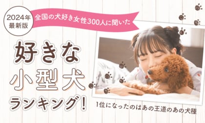 【2024年最新版:全国の犬好き女性300人に聞いた】好きな小型犬ランキング!1位はやはり王道のあの犬種