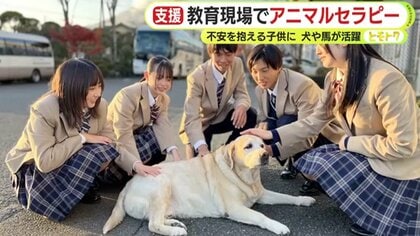 「理由のない不安感に寄り添う」不登校や不安を抱える高校生を心を癒すスクールドッグと牧場のホースセラピーがもたらす心の変化