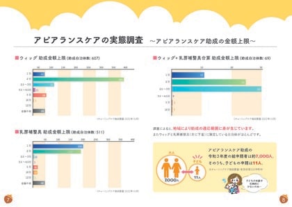 アピアランスケア支援事業実態調査(2024年度版)公開