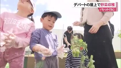 那覇市のデパートの屋上菜園で収穫体験　子ども達が自然の恵みに感謝