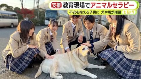 「理由のない不安感に寄り添う」不登校や不安を抱える高校生を心を癒すスクールドッグと牧場のホースセラピーがもたらす心の変化
