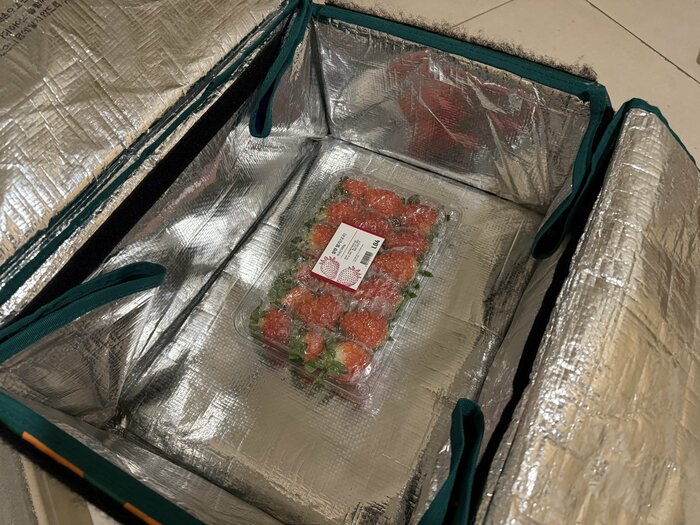 保冷用バッグに入って届いたイチゴ