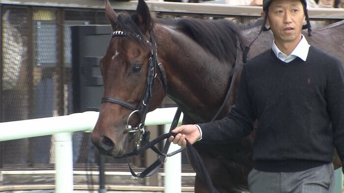 新馬戦を制したラヴェニュー