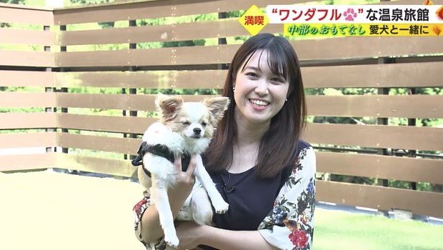 屋上に開設されたドッグラン