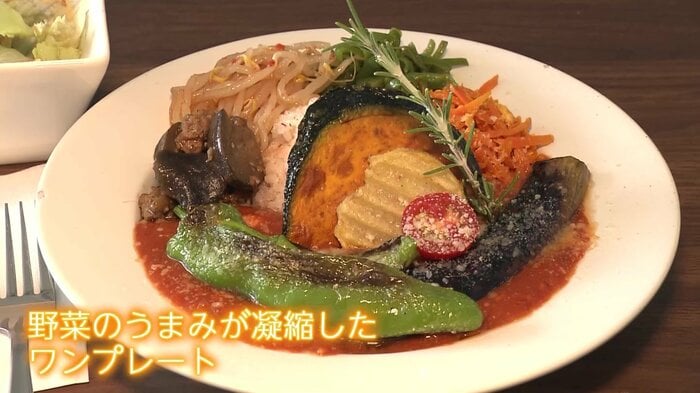 もやしのナムルなど付け合わせも野菜がたっぷりなハヤシライスは、サラダ付きで1200円(税込み)