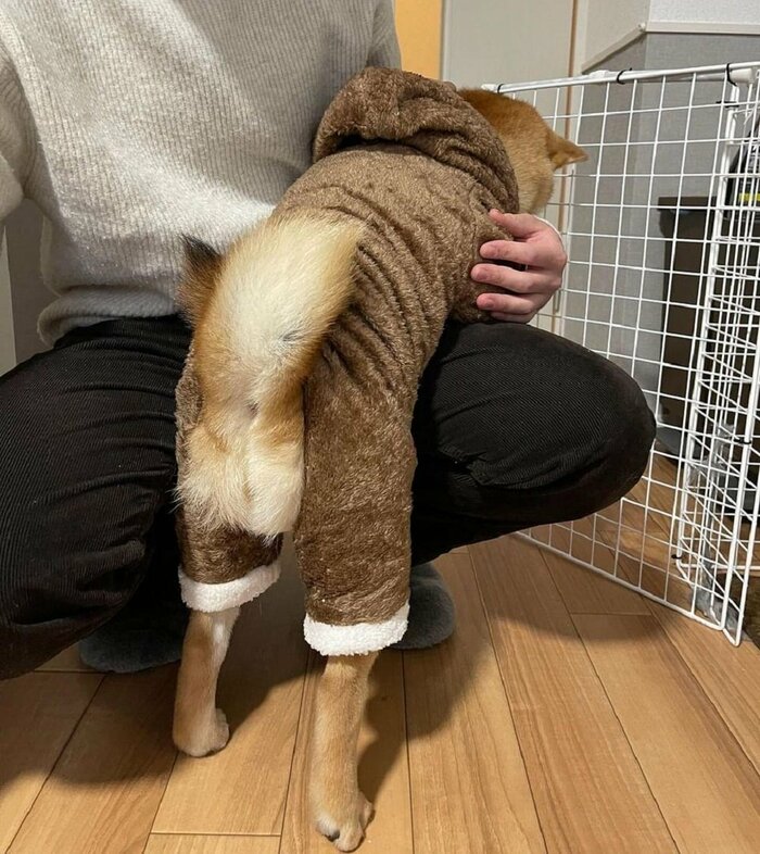 抱っこして!