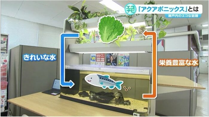 「オアシスカウンター」に導入されたアクアポニックスの仕組み