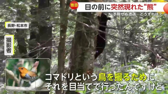 野鳥観察に来ていた撮影者(野鳥いずみ)(FNN投稿サイト「ビデオPost」)