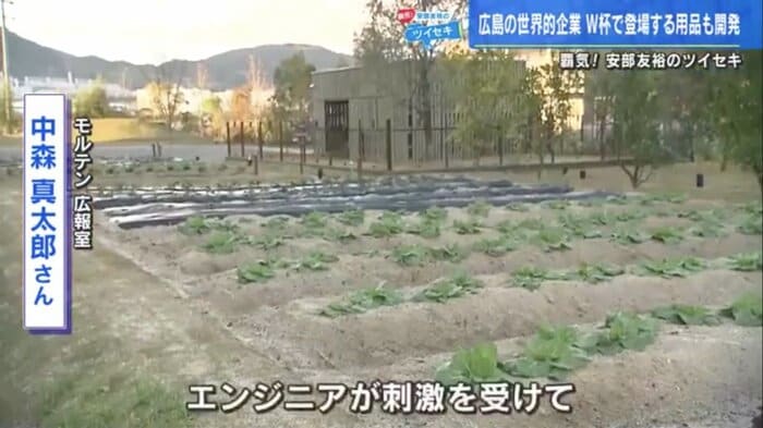 モルテン新本社の敷地内にある野菜畑