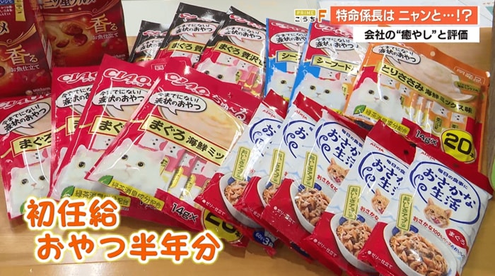 「トラ」の初任給はまさかのおやつ半年分！