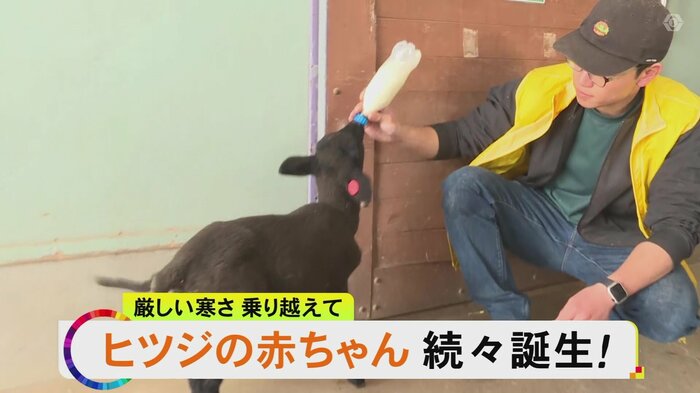 ニュースONE