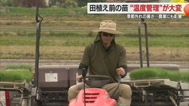 5月に入ると山形・置賜エリアでは田植えが始まる