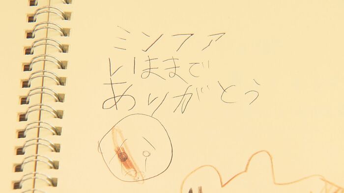 ファンから寄せられたメッセージ